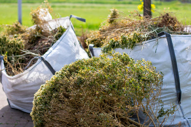 Best Dumpster Rental Services  in Bort, GA